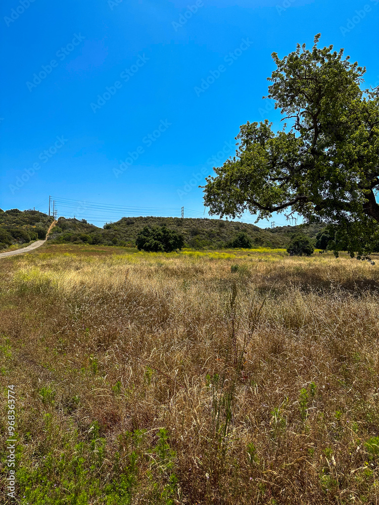 Obraz premium California Road Trippin - Luscious Landscapes and Mountains