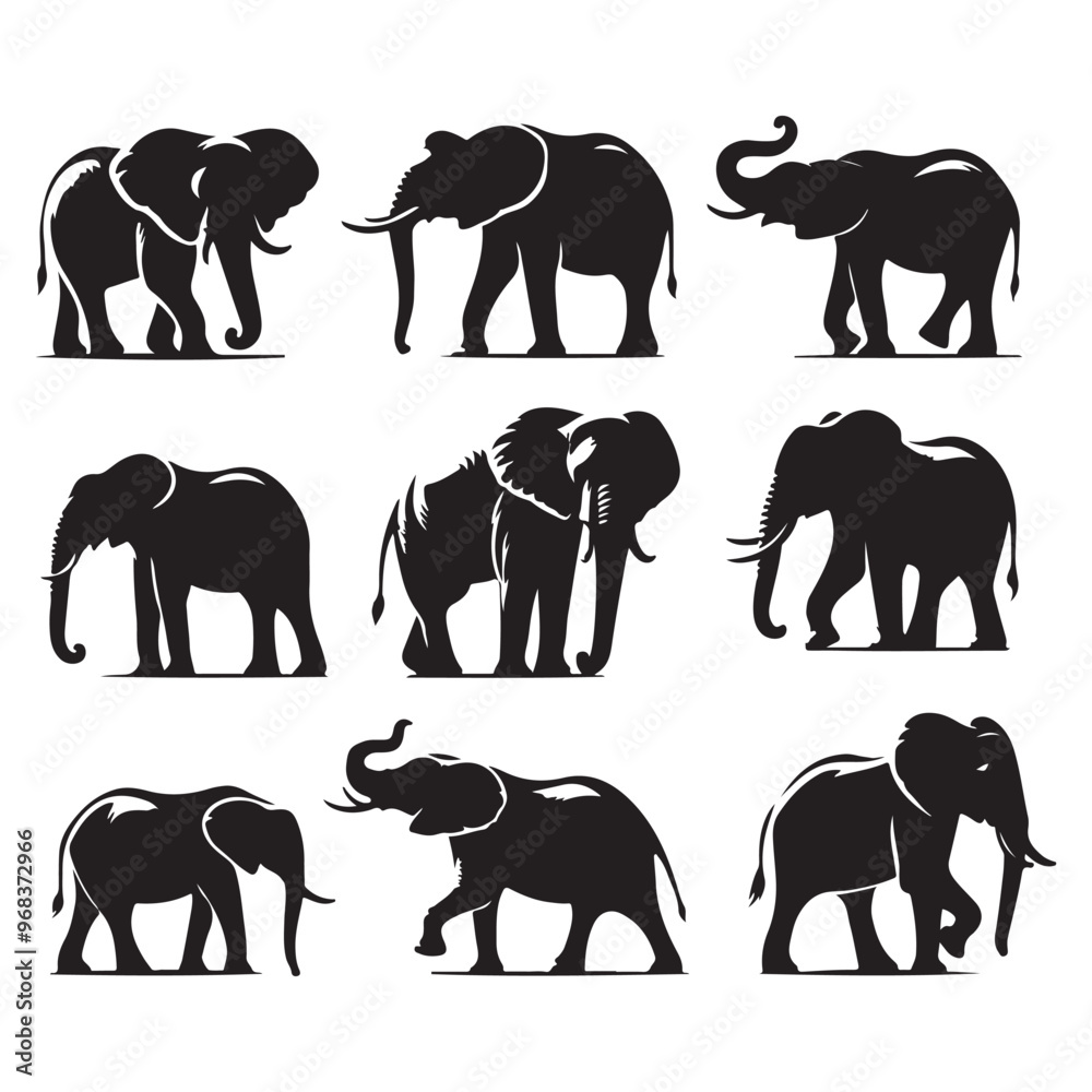 Obraz premium Set of elephant silhouettes isolated on a white background, Vector illustration.