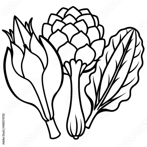 mustard greens bok choy artichokes vegetables outline coloring book page line art illustration digital drawing