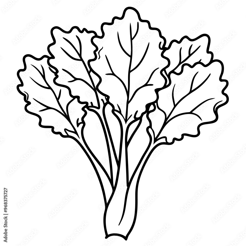 mustard greens vegetable outline coloring book page line art illustration digital drawing mustard greens vegetable outline coloring book page line art illustration digital drawing