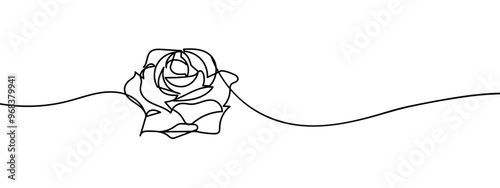 rose illustration of a flower line art style vector with transparent background.