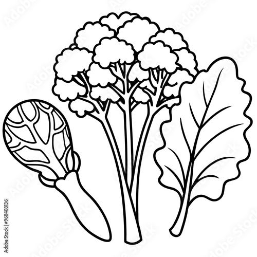 spinach kale broccoli vegetables outline coloring book page line art illustration digital drawing