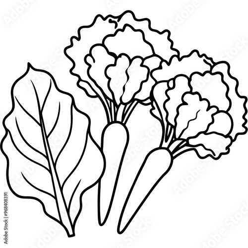 spinach kale broccoli vegetables outline coloring book page line art illustration digital drawing