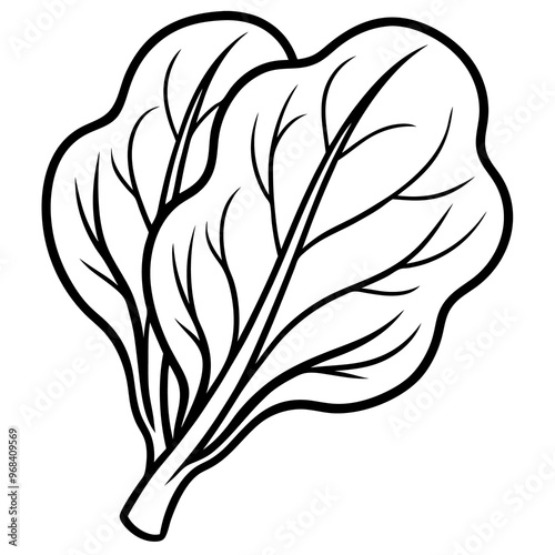 spinach vegetable outline coloring book page line art illustration digital drawing