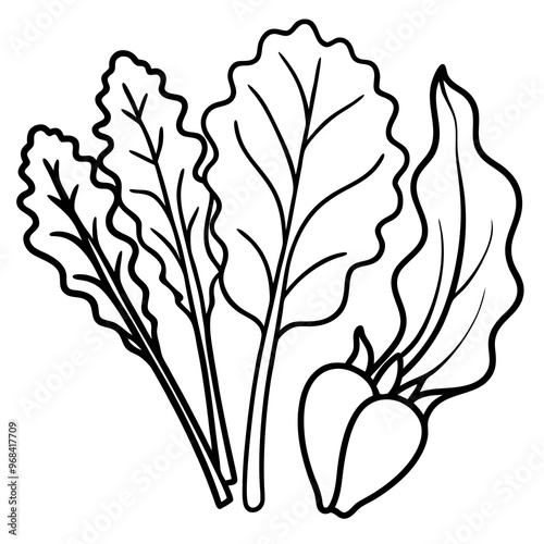 swiss chard collard greens mustard greens vegetable outline coloring book page line art illustration digital drawing