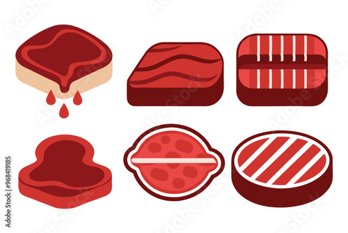 Raw and grilled steak icon set , premium vector illustration on white background.