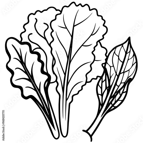 swiss chard collard greens mustard greens vegetable outline coloring book page line art illustration digital drawing