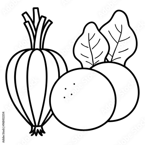 turnips parsnips butternut squash vegetables outline coloring book page line art illustration digital drawing