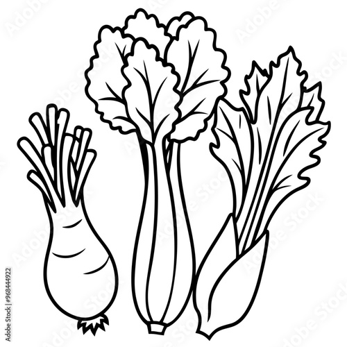 watercress endive chicory vegetables outline coloring book page line art illustration digital drawing