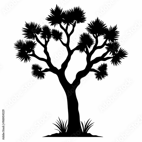 Joshua tree vector illustration silhouette, the silhouette of a tree