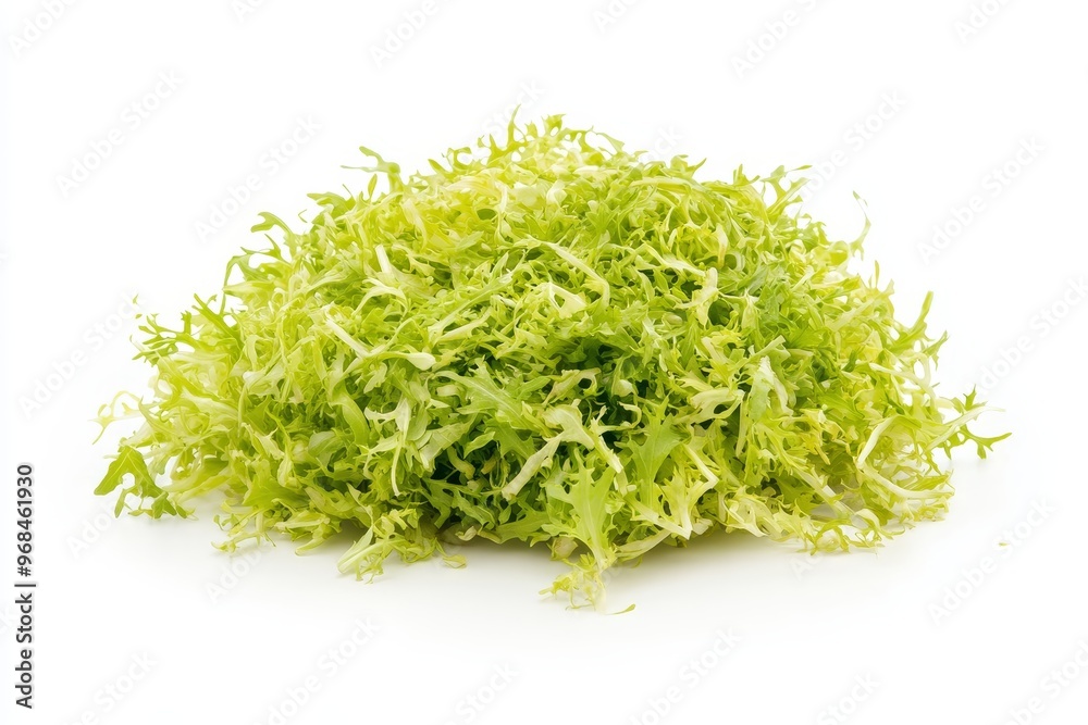 A pile of fresh frisee lettuce isolated on a white background. This image is perfect for food blogs, websites, and social media posts. A pile of fresh frisee lettuce isolated on a white background. This image is perfect for food blogs, websites, and social media posts.