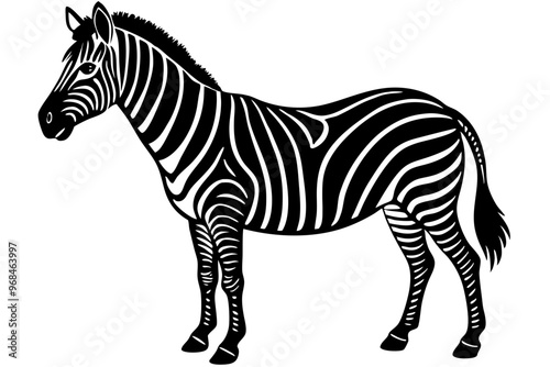 zebra animal, zebra illustration white background