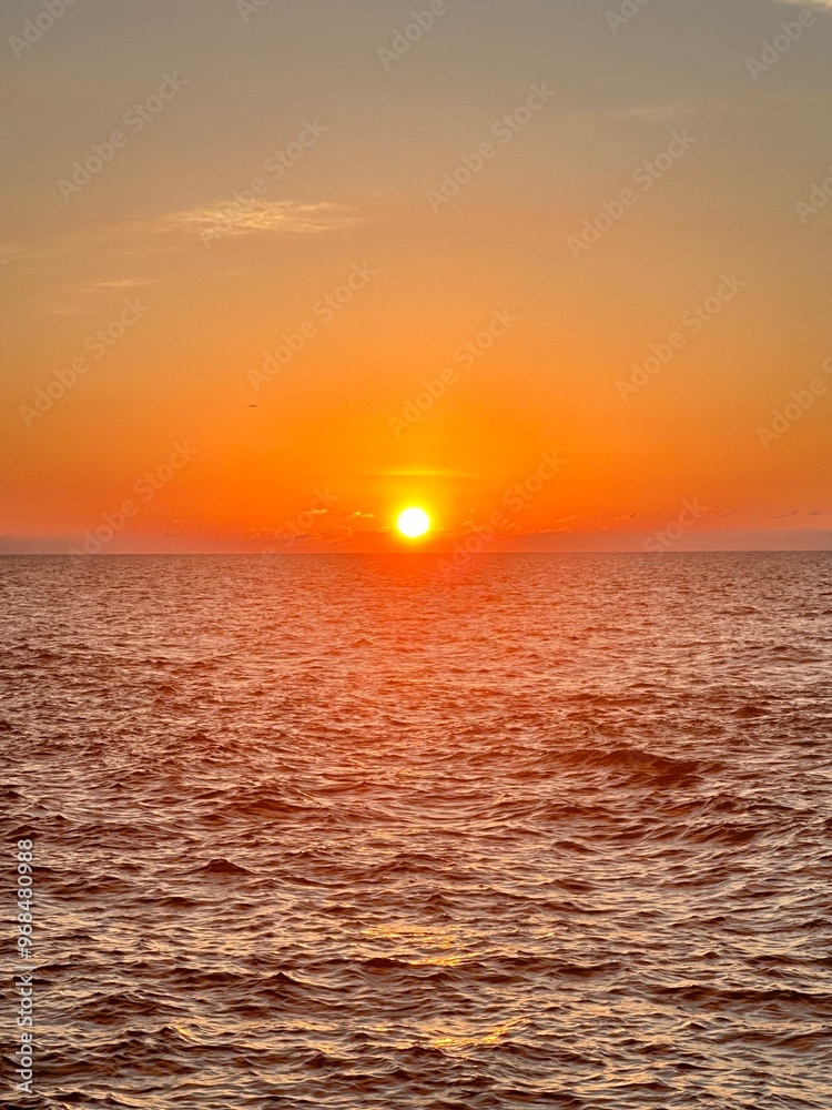 Fototapeta premium sunset in the sea