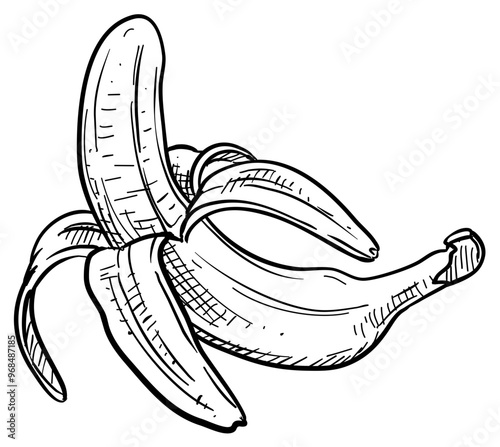 banana handdrawn illustration