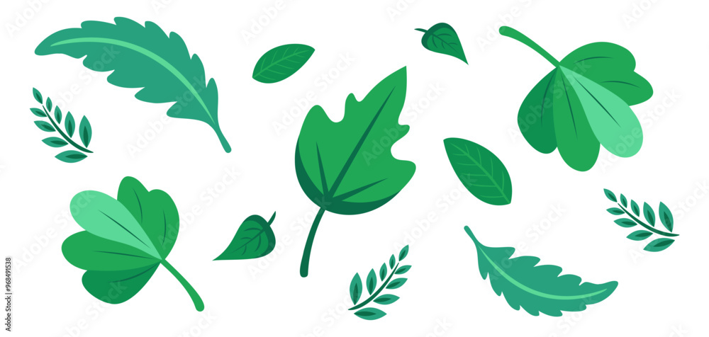 green leaves set. different kind of leaves green leaves set. different kind of leaves