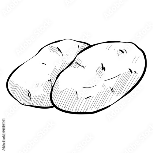 potato handdrawn illustration