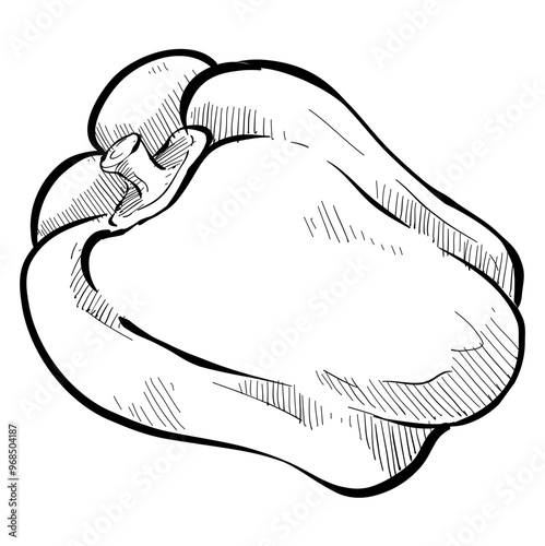 paprika handdrawn illustration