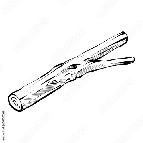 wood handdrawn illustration