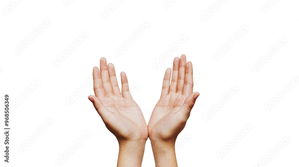 Obraz premium Hands holding something on transparent background