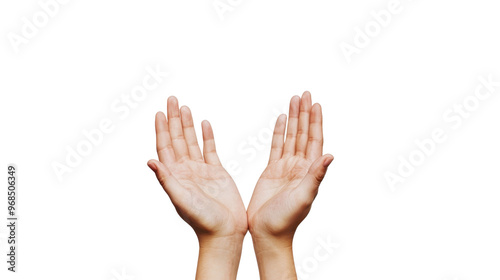 Hands holding something on transparent background #968506349