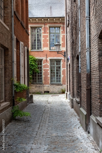 This image invites us into the calm solitude of the Mechelen Beguinage, with its historic cobbled streets and traditional brick houses. The beguinage, a quiet corner of Mechelen, Belgium, is a relic