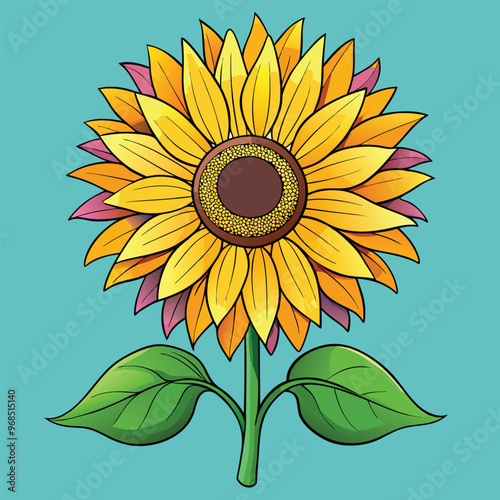 Sunflower vector illustration