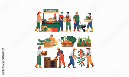 Farmers harvesting, sorting, and selling fresh vegetables at a market.