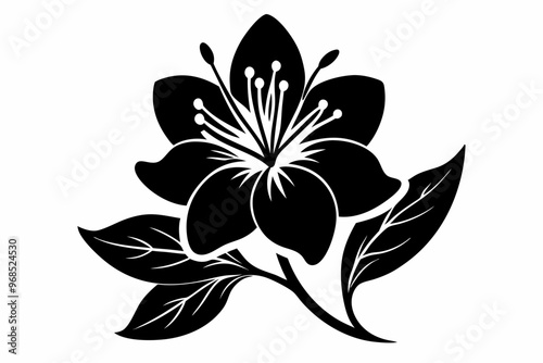 Azalea flower silhouette vector, Azalea silhouette, Azalea silhouette black clipart