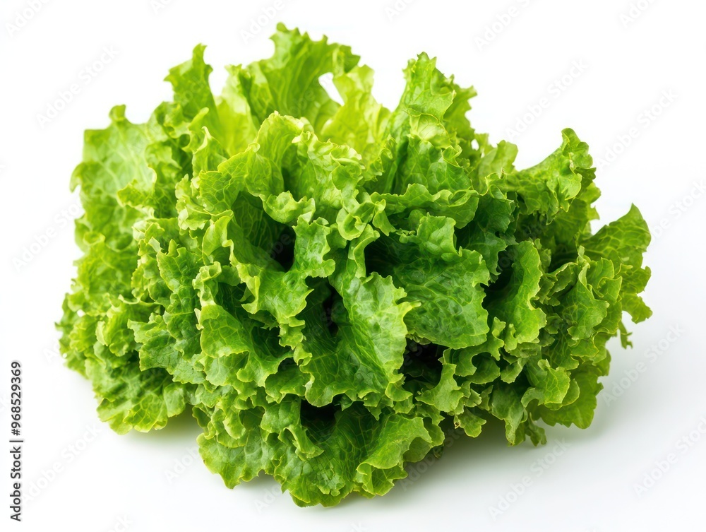a fresh Lettuce isolated white background. Generative AI a fresh Lettuce isolated white background. Generative AI