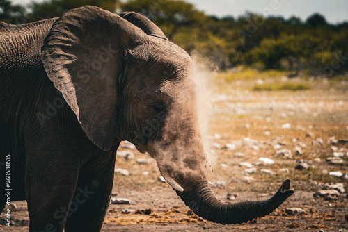 Africa