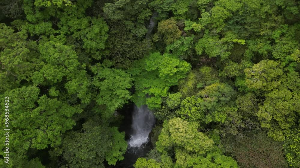 平家の滝 ドローン空撮 平家の滝 ドローン空撮
