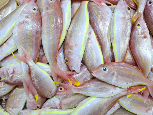 Kurisi fish (Nemipterus nematophorus) is a type of demersal fish that is easily available in traditional markets. photo