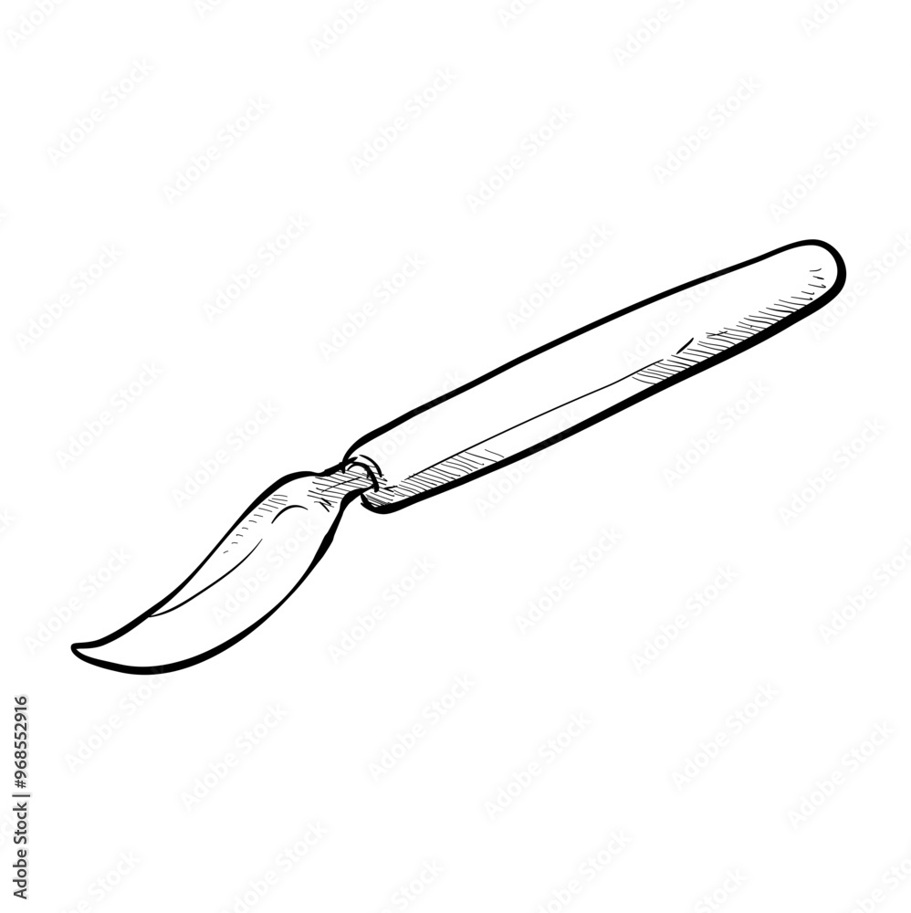 scalpel handdrawn illustration scalpel handdrawn illustration