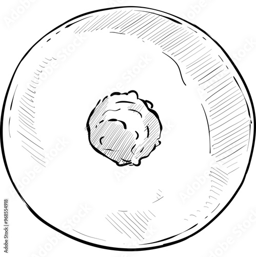 biscuits handdrawn illustration