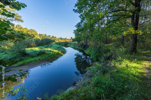 A river with a green forest on either side