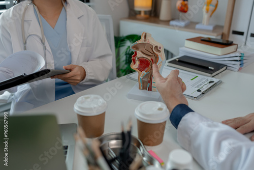 two ENT specialists are discussing the most appropriate treatment for a patient, the two doctors are exchanging their opinions on ENT treatment, anatomy, stethoscope, model