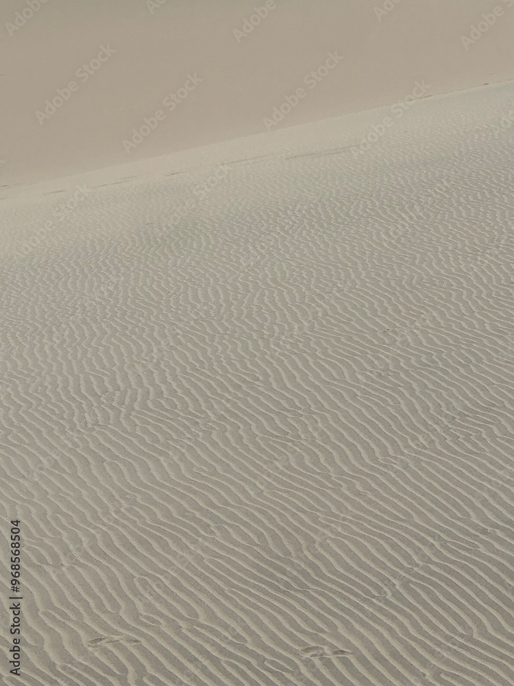 Obraz premium ripples in sand