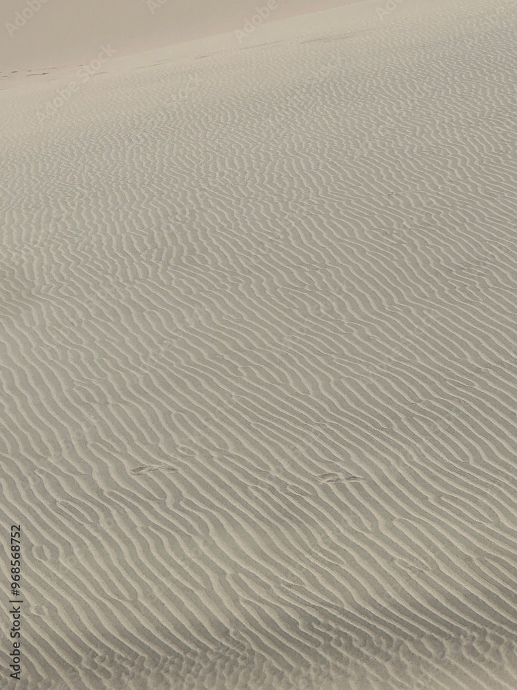 Obraz premium ripples in sand