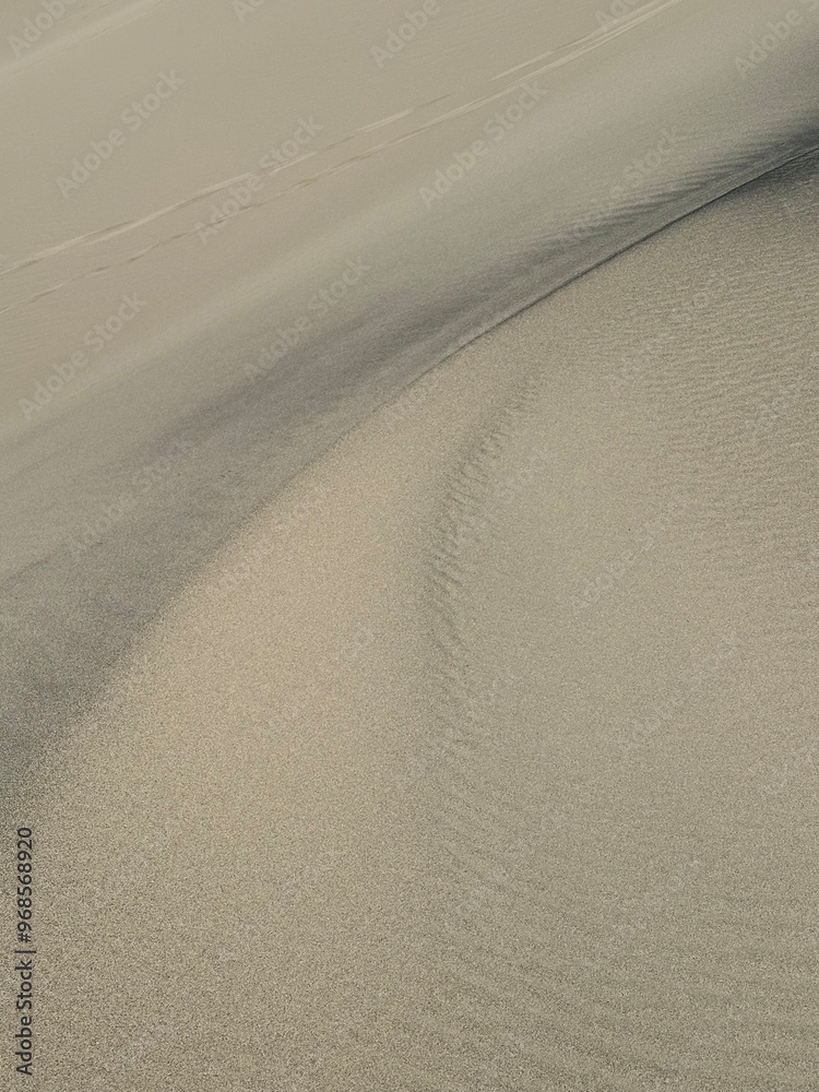 Obraz premium ripples in sand