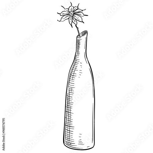 flower vase decoration handdrawn illustration