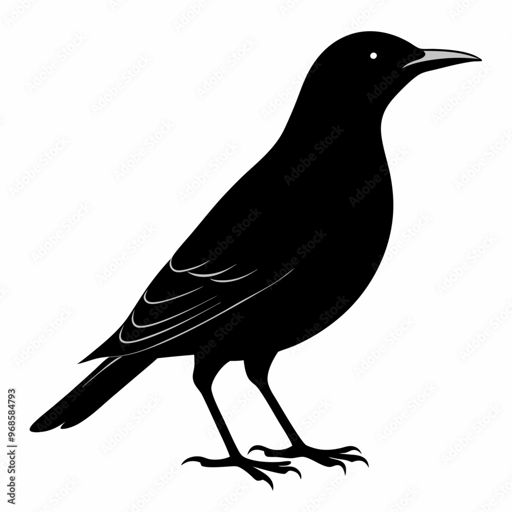 Fototapeta premium Starling Black silhouette