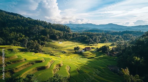 A beautiful rice field viewed from the Wat Phuket viewpoint in Thailand. photo