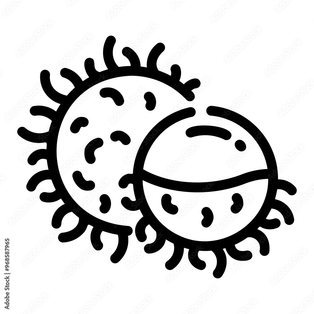 Obraz premium rambutan Line Icon