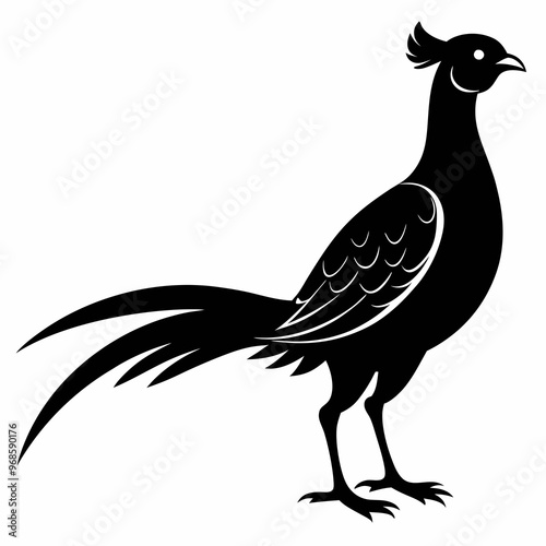 Pheasant Black silhouette