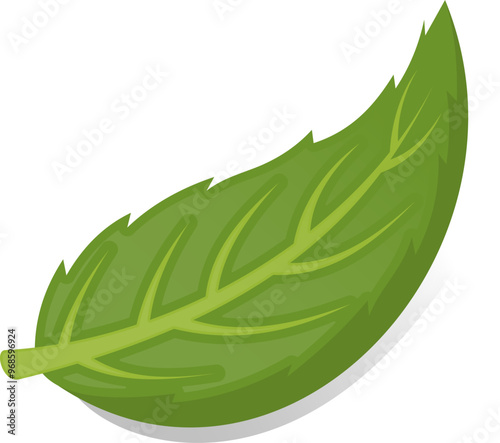 Fresh Leaf Garnish for Elegant Plating