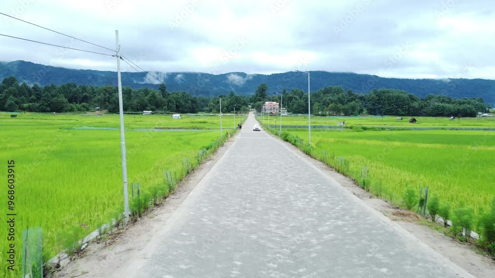 Aerial view shot of paddy field in Arunachal Pradesh. Aerial view shot of paddy field in Arunachal Pradesh.