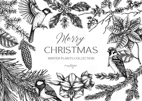 Christmas card design. Winter plants vintage background. Conifer trees, winter flowers, birds sketches. Hand drawn vector illustration. NOT AI generated