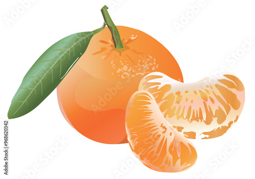 Fruit orange illustration design
