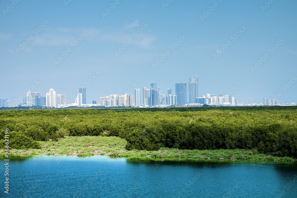 Mangroves in the Persian Gulf. United Arab Emirates. Against the backdrop of the skyscrapers of Abu Dhabi Mangroves in the Persian Gulf. United Arab Emirates. Against the backdrop of the skyscrapers of Abu Dhabi
