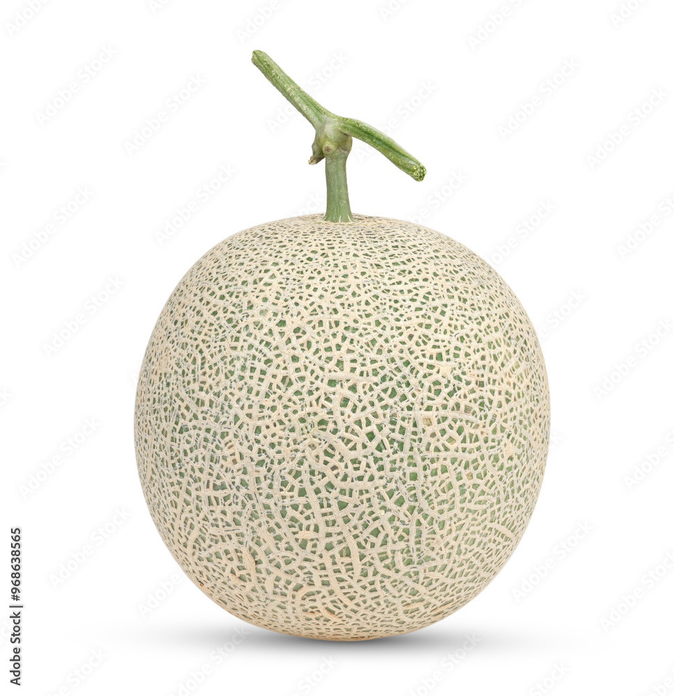 Melon isolated on transparent png Melon isolated on transparent png